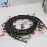 Original Truck Parts Shacman Sinotruk WG9719820007 Howo High Pressure Hose