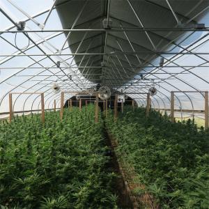 Wholesale External Shading System vegetable Light Deprivation Greenhouse for Plants Cultivation from china suppliers