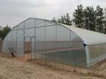 Easy Install Single Tunnel Greenhouse Cover Material 0.12-0.2mm PEP Film