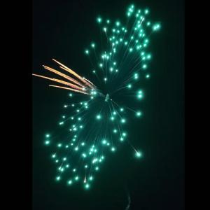 Wholesale Chinese Fireworks Liuyang 14 Shots Consumer Cakes Fireworks 2023 from china suppliers