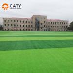 Free Sample Anti- UV EPDM Rubber Granules for Football Field Artificial Grass