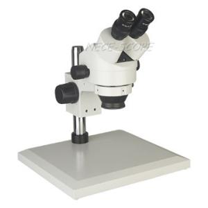 Wholesale Interpupillary Distance Trinocular Compound Microscope Binocular Inclined At 45° from china suppliers
