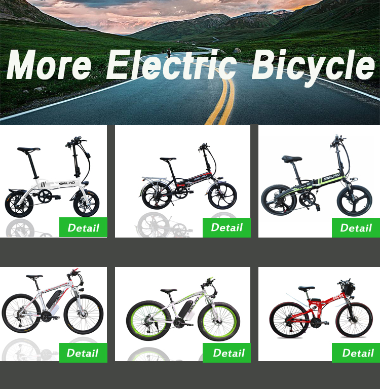 S9F Folding Fat Tire Electric Bike LCD Digital Display USB Charging Port