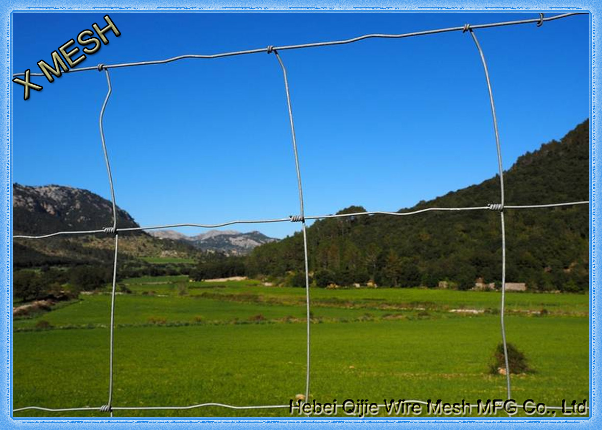 Horse Field Fence