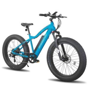 Wholesale Wholesale 26-inch 500W 48V Beach Snow Electric Bikes from china suppliers