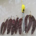 Chiles California Dried Guajillo Chili Big Size Picked By Hands Natural Red