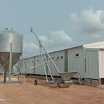 1950*350*380mm Poultry Laying Cage for Poultry Farm Advanced Technology