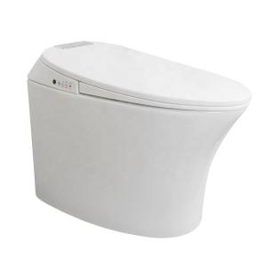 Wholesale One Piece Ceramic Electronic Intelligent Toilet , Integrated Electric Toilet from china suppliers