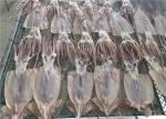 100% Natural Dried Illex Squid Whole Round 85g Fresh Frozen Squid