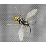 HOT SALE Fiberglass window screening,Invisible Fiberglass Insect Screen