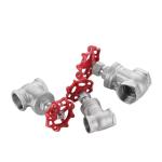 Water Oil Flow Gate Valve with BSPP End Connection and Sturdy Stainless Steel