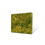 30mm Width Decorative Stainless Steel Sheet Antique Verdigris Finish Copper
