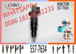 Diesel Fuel Injector 267-9734 293-4071 557-7634 53L-8062 387-9437 387-9438 328
