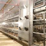 Battery Day Old Chicks Cage Breeding Chicken Cage For Layer Chick