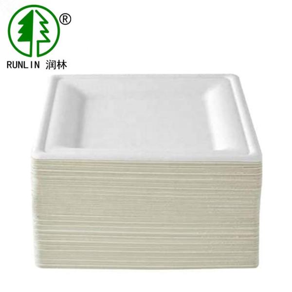 Square Pulp Molded Eco Friendly Dishes FDA Biodegradable Sugarcane Bagasse