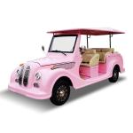 40 Mph Classic NEV 72V Golf Cart 6 Passengers With Curtis 1234 Controller