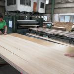 Landscape Custom Wood Veneer Modern Door Design 2050-3200mm