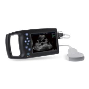 Wholesale 5.7&quot; LED 135db Medical Vet Ultrasonic Machine Pig Pregnancy Ultrasound Scanner from china suppliers