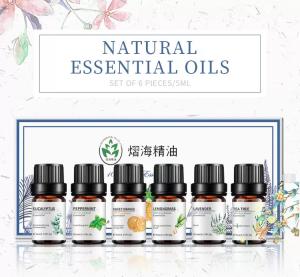 Wholesale 10ml 6pcs Aromatherapy Essential Oil Set Healthy Care Custmoized from china suppliers