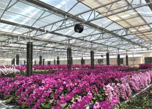 Wholesale Eco Friendly Materials Garden Glass Greenhouse Aluminium / Steel Metal Type from china suppliers