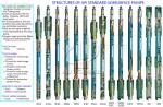 Puyang Zhongshi Manufactured TH(B)M Tubing, Heavy Wall Barrel ,Mechanical Anchor