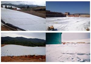Wholesale White 800gsm High Strength Geotextile For Water Conservancy from china suppliers