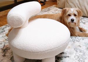Wholesale Minimalist Modern Dining Chairs Upholstered Wool Fabric Living Room Lounge Chair from china suppliers