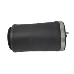 Auto Air Suspension Shock Absorber For BMW E53 X5 Rear Left 4matic Airmatic