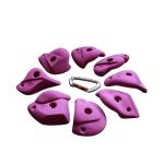 NO Inflatable Gecko King Outdoor/Indoor Rock Climbing Holds for School Climbing