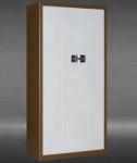 Hot selling new combination coded lock 2 doors steel office furniture government