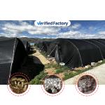Agriculture Mushroom Hothouse Blackout Simple Greenhouse For Farm