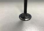 8943958820 ISUZU Engine Parts Intake Valve For ISUZU NPR 4HK1 6HK1