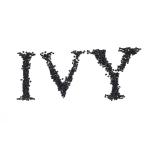 IV0,60 Recycled PET Resin GRS Certified With 0.4mg/Kg Iron Content