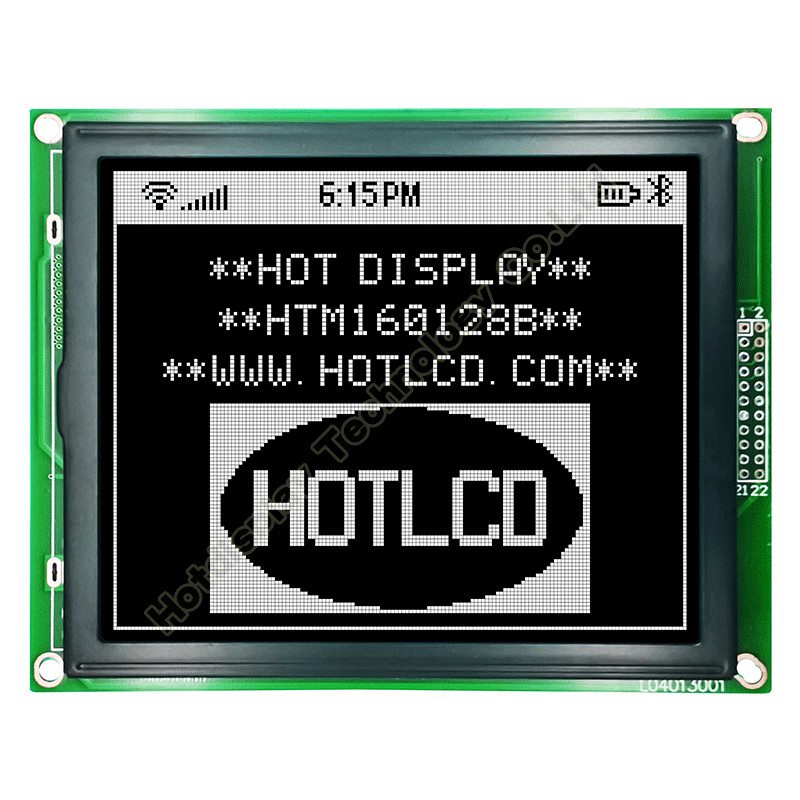 160X128 Graphic Blue LCD Display With White Backlight T6963C
