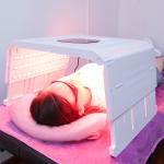 Skin Care 7 Colors Led Phototherapy Led Pdt Lighting Color Therapy Machine / Pdt