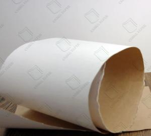 Wholesale 300GSM Liquid Packaging Board Food Packaging Kraft Back LPB For Milk Juice from china suppliers