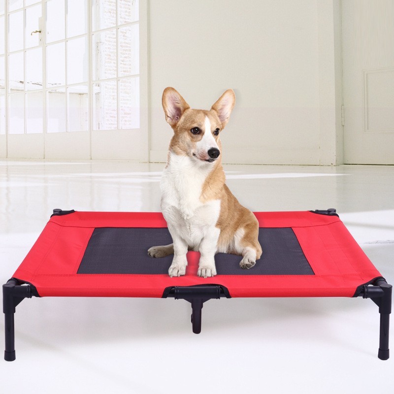 dog air bed