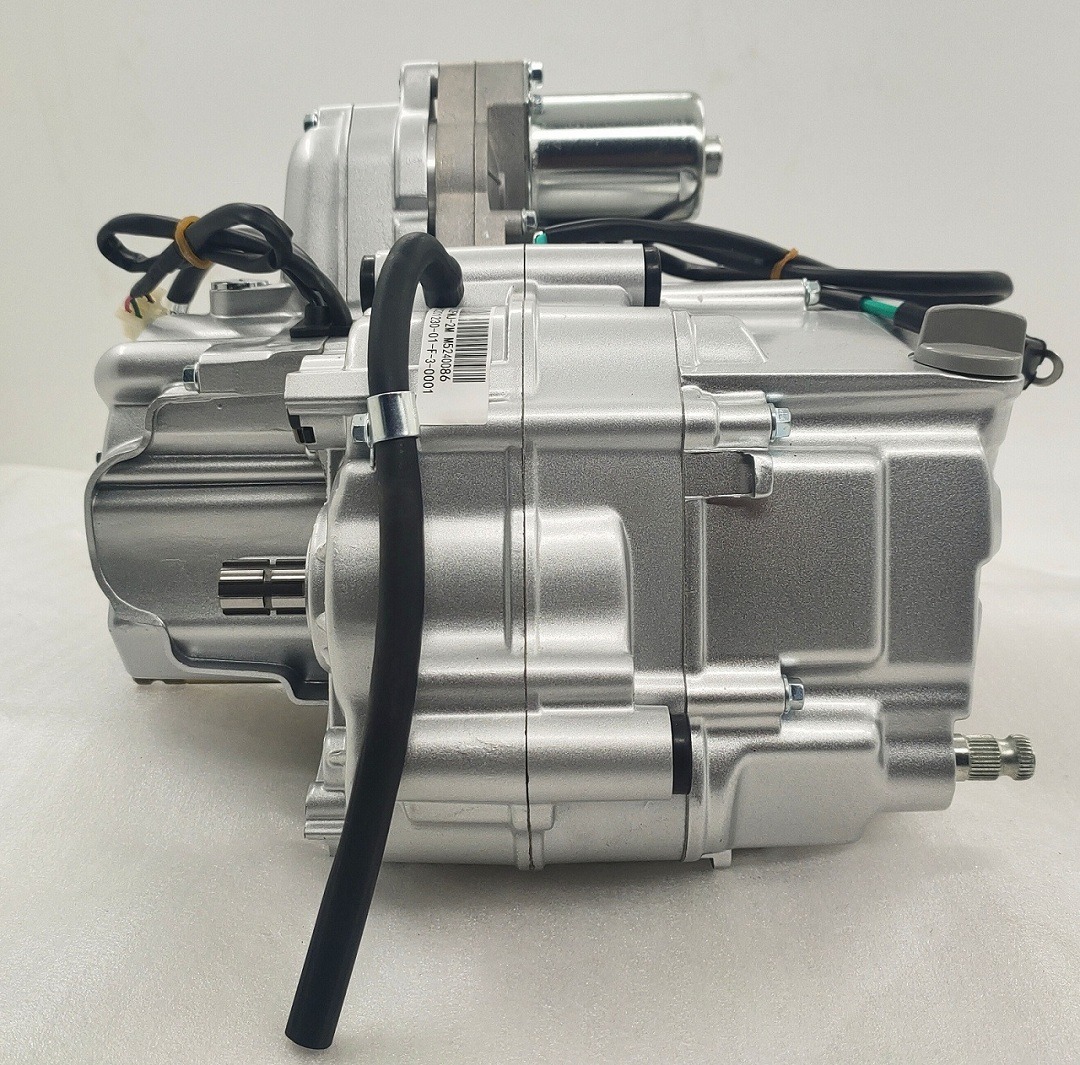 DAYANG LIFAN 110CC Air-cooled Engine Assembly for Tricycles and Three Wheels Motorcycles