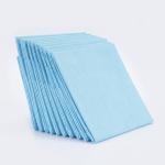 Medical Incontinence Pads for Hospital 60 x 90 Coreless Waterproof Disposable