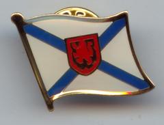 Wholesale pin badges, lapel pin, football pin, emblem, enamel badge, printing badge, plating bagde from china suppliers
