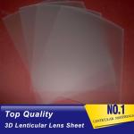 Promotional Price UV Curing Process Lenticular 100 LPI Resin PET Lens Plastic