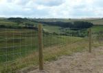 Hot Dip Galvanized 2.5mm Hinged Knot Rural Wire Fencing 4ft