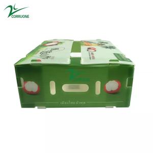 Wholesale Correx 10mm Plastic Archive Boxes Carton Coroplast Environmental Friendly from china suppliers