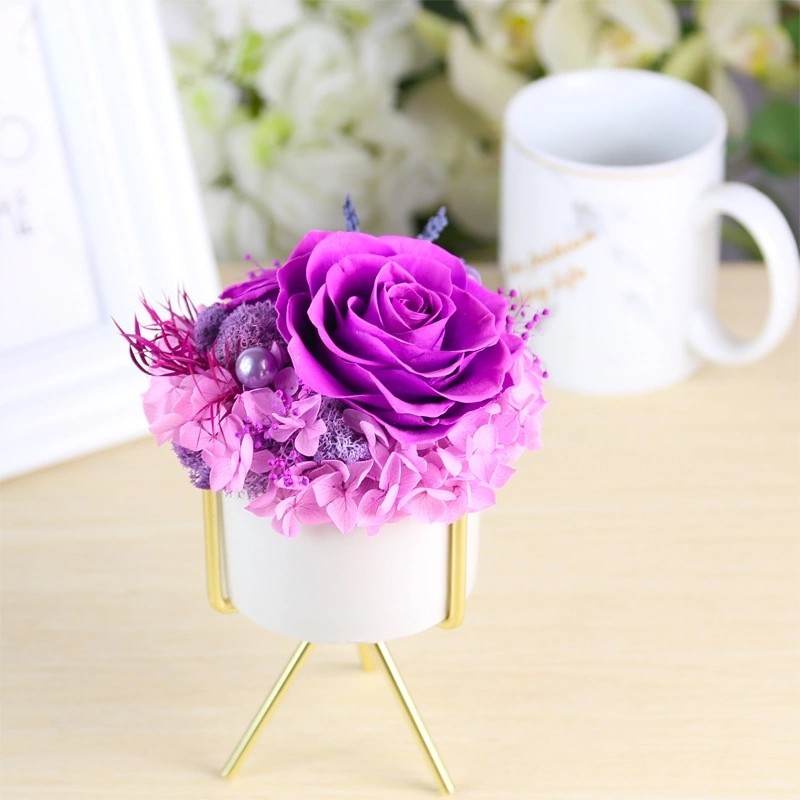 New Arrival preserved flowers ornament luxury immortal rose gift for teacher/friend