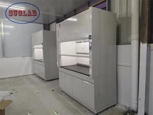 Wholesale Customized Laboratory Fume Hood Lab Fume Hoods Anti-static Safety System 220V/50Hz from china suppliers