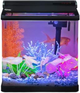 Wholesale Saltwater 4 Litre Hygger  Aquarium Fish Tank from china suppliers