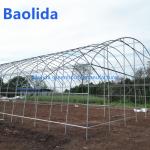 Singlespan Growing Farming Polyethylene Film Greenhouse For Vegetables