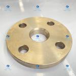 Corrosion Resistant Titanium Flanges Gr2 Welding Neck Flange DN32