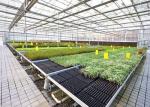Single Layer Toughened Glass Greenhouse , Insulating Intelligent Greenhouse