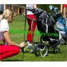 Buy cheap Golf chariot from wholesalers